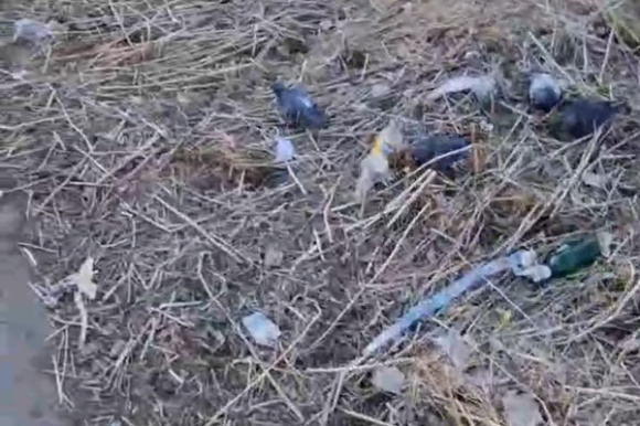 Жители Каменска-Уральского пожаловались на годами копившийся мусор возле детсада №3