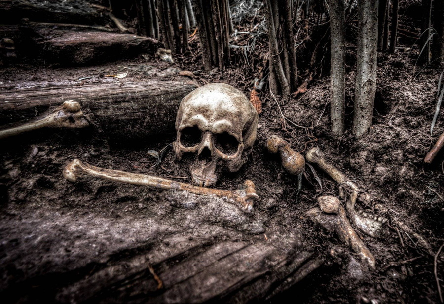 Учёные проанализируют состав костей Ивана Грозного