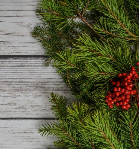 Еловым веткам не место в мусоропроводе: чем это чревато