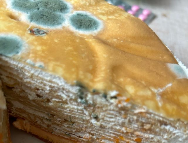 «Наелась плесневелого торта»: Жительница Каменска-Уральского рассказала о неудачной покупке | Жительница Урала слишком поздно поняла, что купила плесневелый торт 