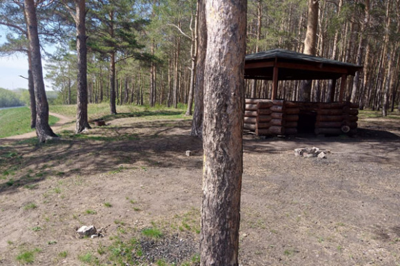 Чиновники и полицейские проводят совместные рейды по городским лесам