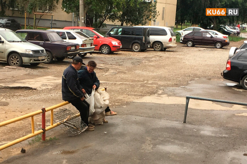 «Надоело нюхать различные запахи бомжей». Двор дома по ул. Карла Маркса в Каменске-Уральском превратился в рассадник нечистот из-за...
