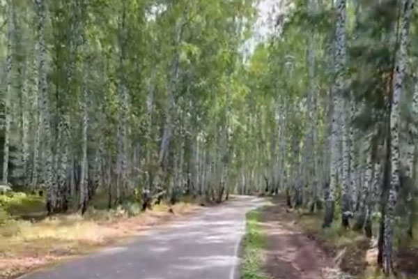 Житель Каменска-Уральского во время пробежки в Березовой роще заметил наркоманов. На спортобъекте давно в курсе проблемы