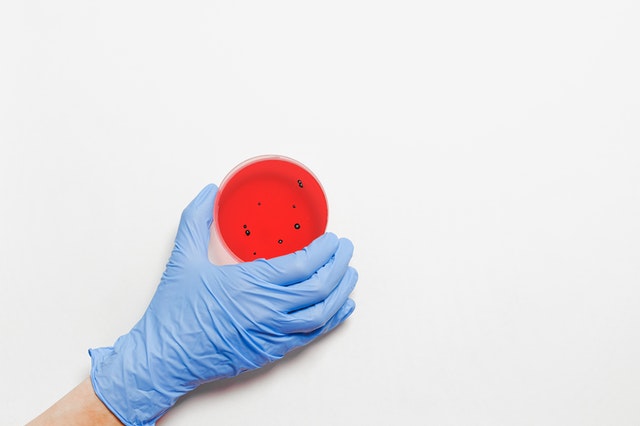 В Роспотребнадзоре допускают возвращение в Россию дельта-штамма COVID-19