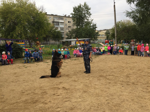 Самурая, который с легкостью взял след, привели полицейские в детский сад Каменска-Уральского и рассказали ребятам о своей профессии