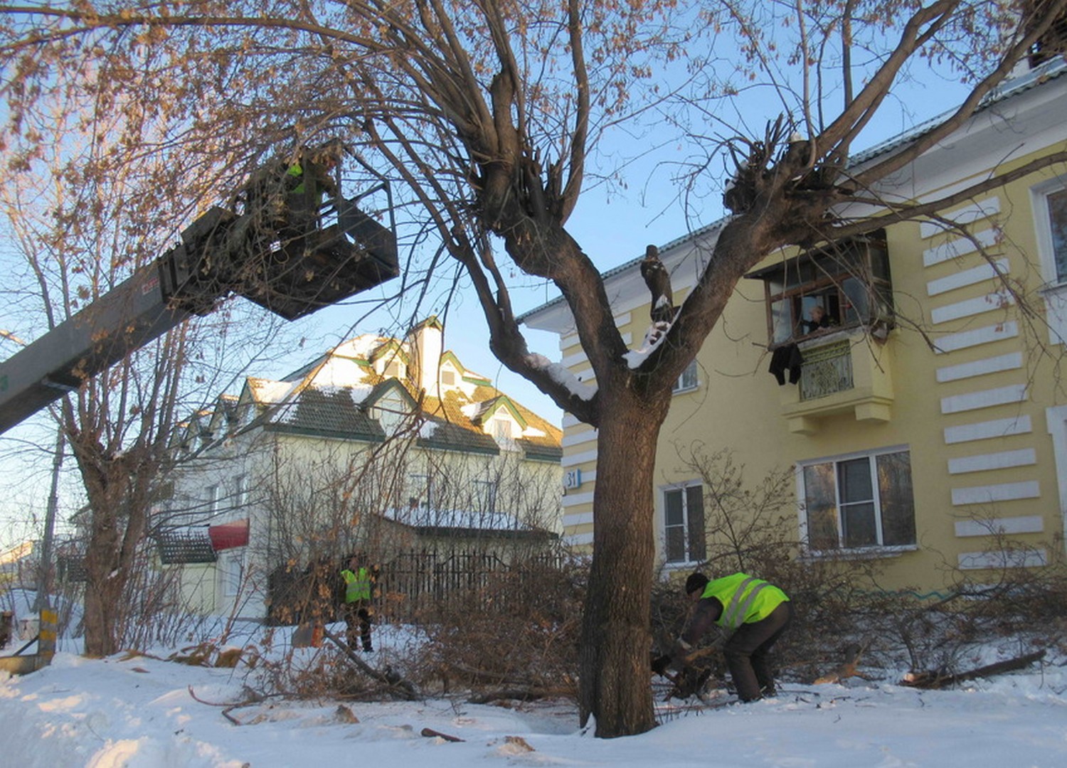 В Каменске-Уральском кронировали больше двух сотен деревьев. Говорят, работали не ради прихоти, а в целях профилактики