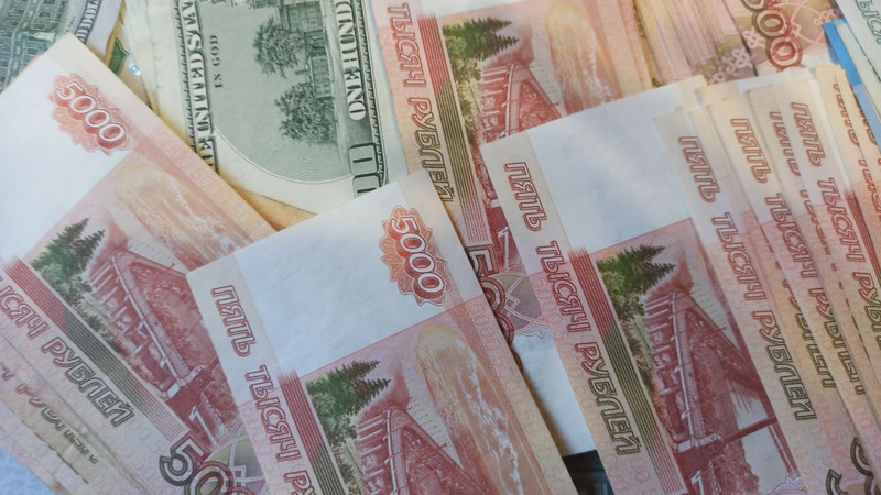 В России уменьшилось число желающих отказаться от наличных денег