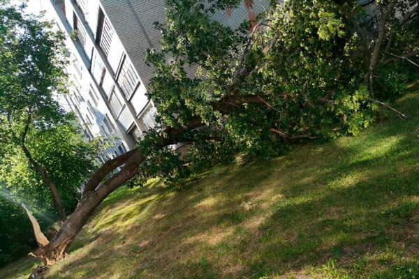 Ураган поломал деревья во дворах в Каменске-Уральском, а коммунальщики залезли на кровли — проверить, нет ли там повреждений