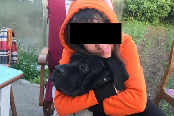 Собаки разорвали на куски и съели свою хозяйку