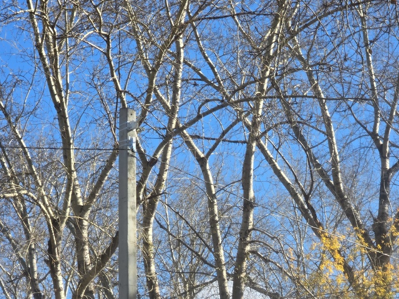 Посёлок Чкалова в Каменске-Уральском осветят новые светодиодные фонари | В поселке Чкалова монтируют линию освещения на улице 1 Мая