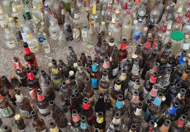 Активистка на одной небольшой аллее в Каменске-Уральском собрала семь мешков бутылок. Говорит, заняться этим ее «заставили» собаки... Активистка на одной небольшой аллее в Каменске-Уральском собрала семь мешков бутылок. Говорит, заняться этим ее «заставили» собаки...