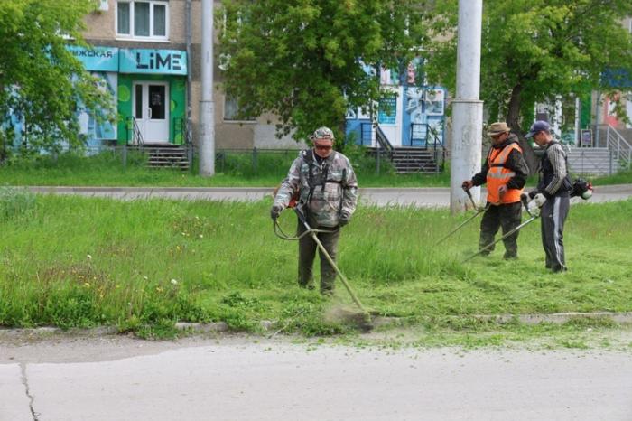 В Каменске-Уральском продолжается кошение травы на улицах и в скверах | Работы по кошению травы стартовали в Каменске-Уральском