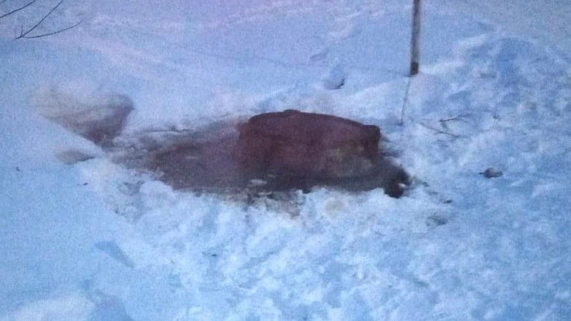 В селе под Каменском люди мёрзнут без отопления