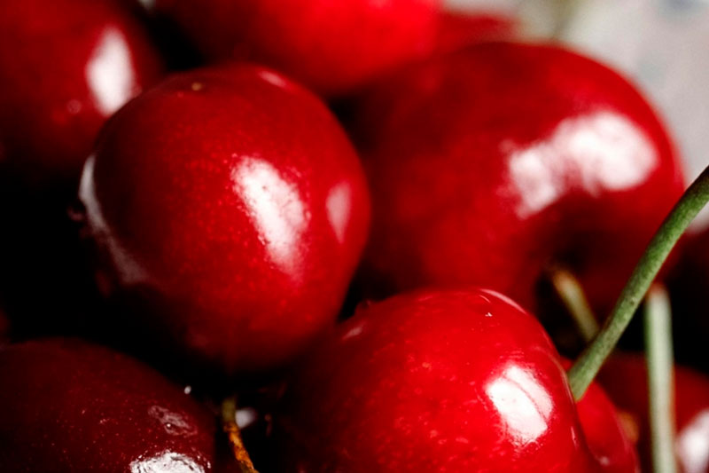 Диетолог рассказала о пользе и вреде черешни | Диетолог Стародубова: черешня несет угрозу людям с заболеваниями ЖКТ