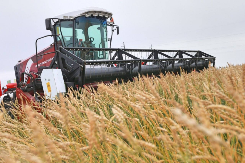 Губернатор увеличил субсидии для молодых специалистов на сельскохозяйственных предприятиях | Губернатор увеличил субсидии для молодых специалистов на сельскохозяйственных предприятиях