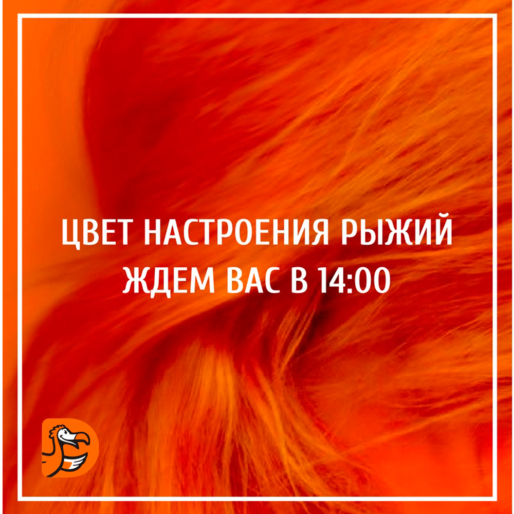 Фестиваль рыжих пройдет в воскресенье в Каменске-Уральском: ждут всех с оранжевой атрибутикой и даже с домашними питомцами