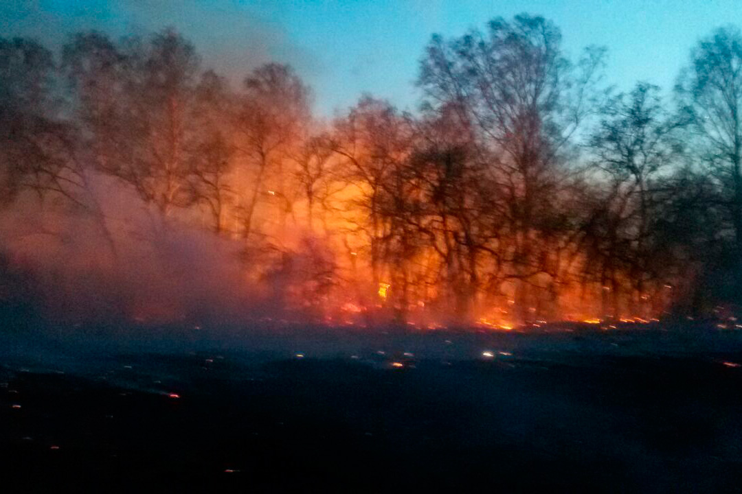 «За вторник – более двадцати пожаров». В Каменске-Уральском и районе не на шутку полыхает сухостой. Виноваты шашлычники и поджигатели