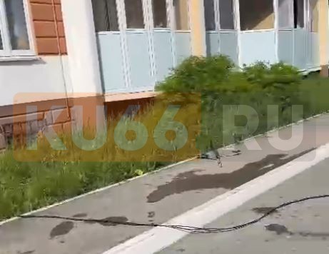 «Бросает с 9 этажа»: В Каменске-Уральском ребёнок скидывает с балкона бутылки с водой | На Урале ребёнок скидывает с балкона 9 этажа бутылки с водой