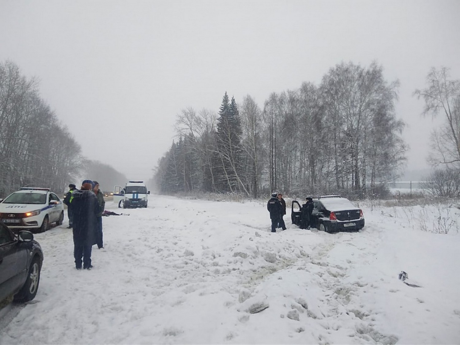 Женщина погибла под колесами Renault на трассе под Каменском-Уральским — в воскресенье днем по обочине она шла из гостей домой в Далматово
