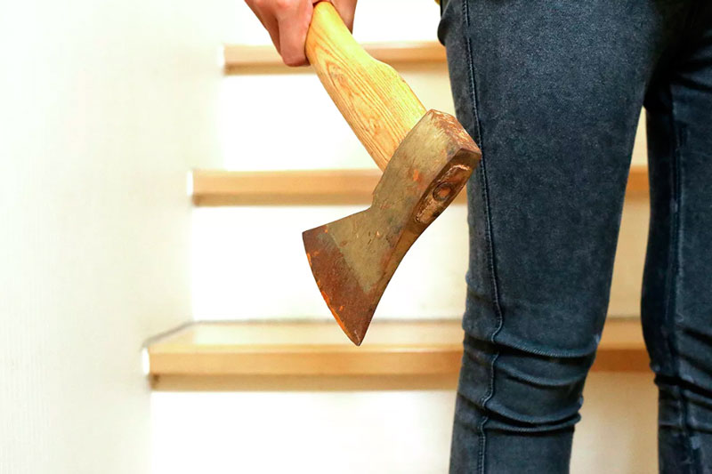 На Сахалине учительница литературы пришла к второклассникам с топором