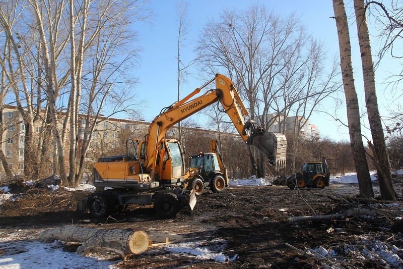 Началась подготовка к благоустройству Байновского сада в Каменске-Уральском — почти 500 деревьев будут свалены, поскольку поражены болезнями