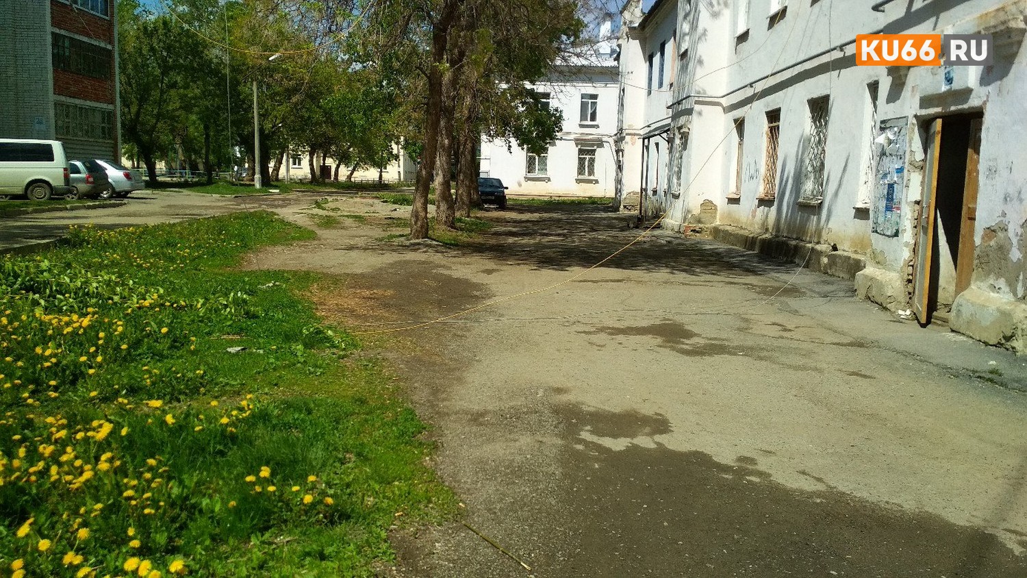 ЧП в Каменске-Уральском: на улице Ленина — вероятно, из-за порыва ветра — упало дерево, оборвав провода линии электропередач