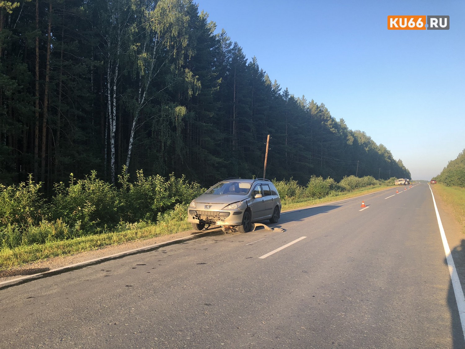 Водитель за рулем «Пежо» ранним утром насмерть сбила пешехода-женщину на трассе под Каменском-Уральским. Полицейские не исключают расправу..