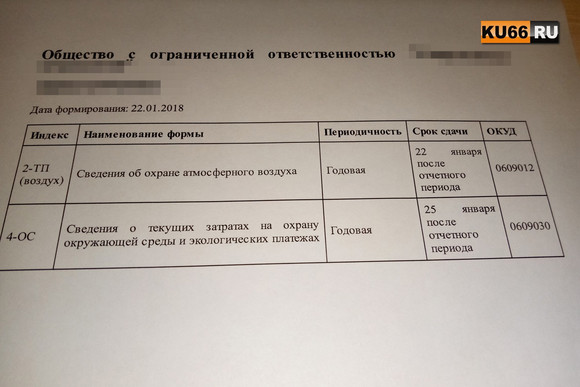 Всем, кто сегодня озадачен: специалисты объясняют предпринимателям Каменска-Уральского, как быть, если Росстат требует «странных» отчетов