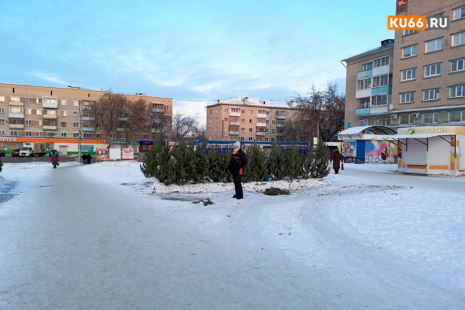 Сезонный конфликт в Каменске-Уральском: на базаре по ул. Алюминиевой продавец схватился за топор и уничтожил елки конкурентов Сезонный конфликт в Каменске-Уральском: на базаре по ул. Алюминиевой продавец схватился за топор и уничтожил елки конкурентов