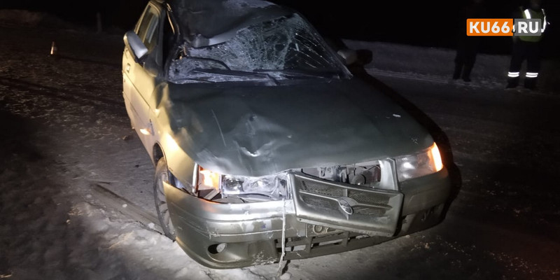 На деревенской дороге под Каменском-Уральским водитель ВАЗ насмерть сбил жеребенка. От удара пострадала и пассажирка авто