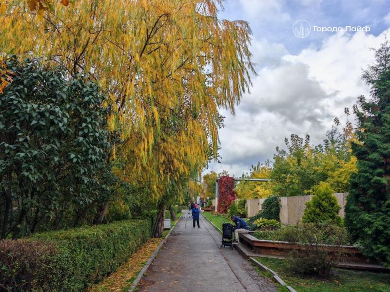 Погода в Свердловской области на 5-7 октября: что говорят синоптики | Екатеринбург проведет первую неделю октября без дождей