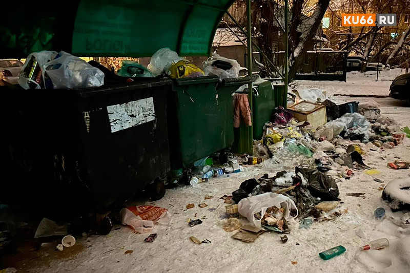 Не всегда собственники доносят свой мусор до контейнерных площадок