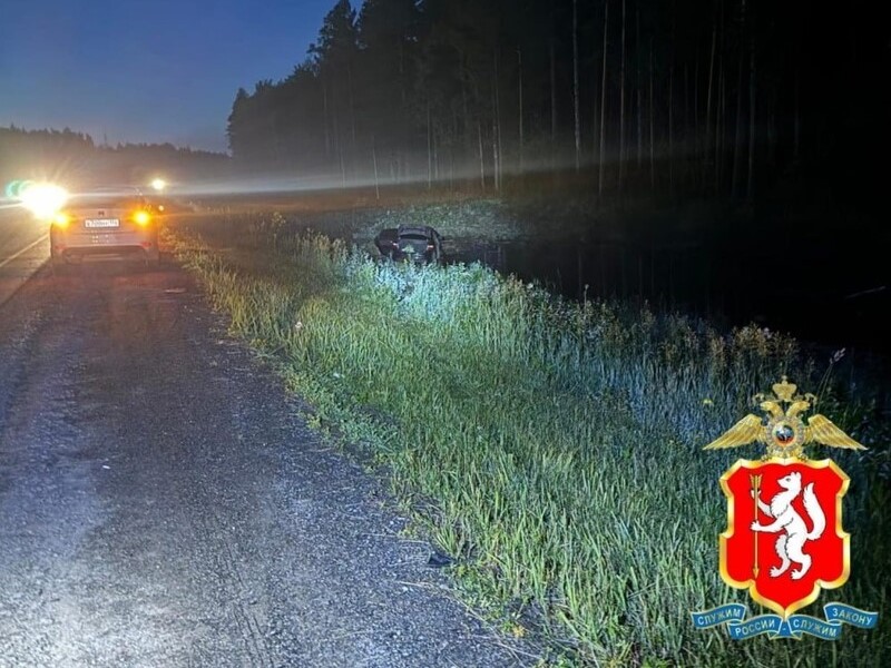 В Свердловской области водитель сбил лося и улетел в кювет | 40-летний свердловчанин насмерть сбил лося, а сам попал в больницу