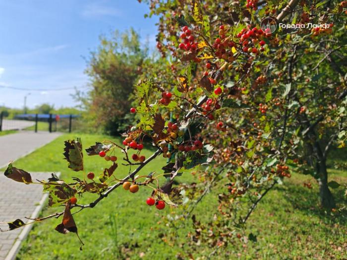 Холода уже на пороге, но скоро жителей Урала ждёт тёплый сюрприз | После заморозков в Свердловскую область придёт бабье лето Холода уже на пороге, но скоро жителей Урала ждёт тёплый сюрприз | После заморозков в Свердловскую область придёт бабье лето