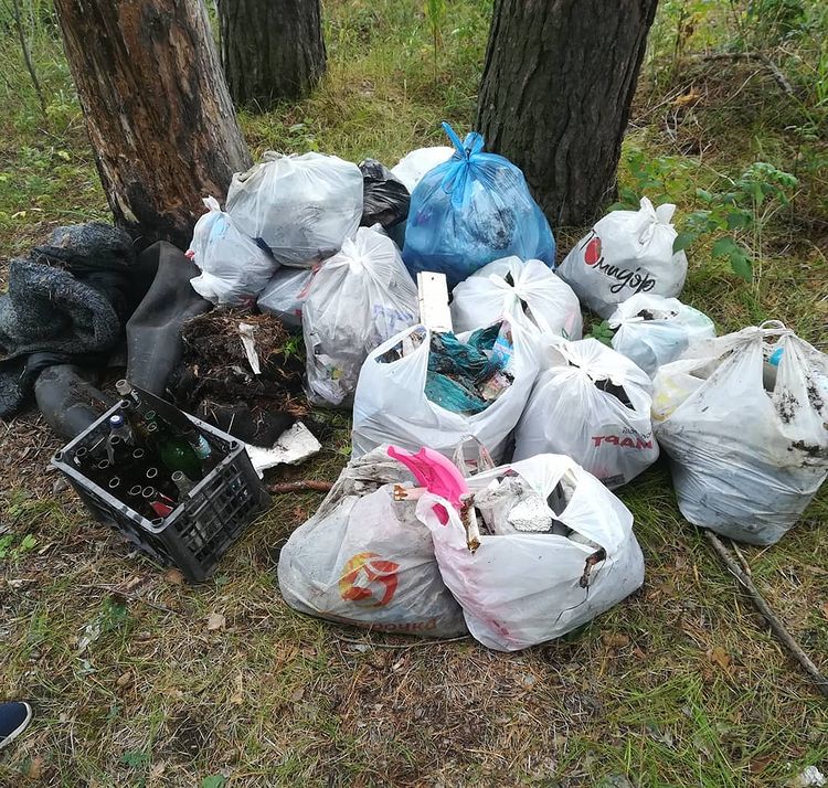 Глава района пообещал жительницам Каменска-Уральского присоединиться к их уборке мусора в лесу — в пятницу она не состоялась из-за непогоды