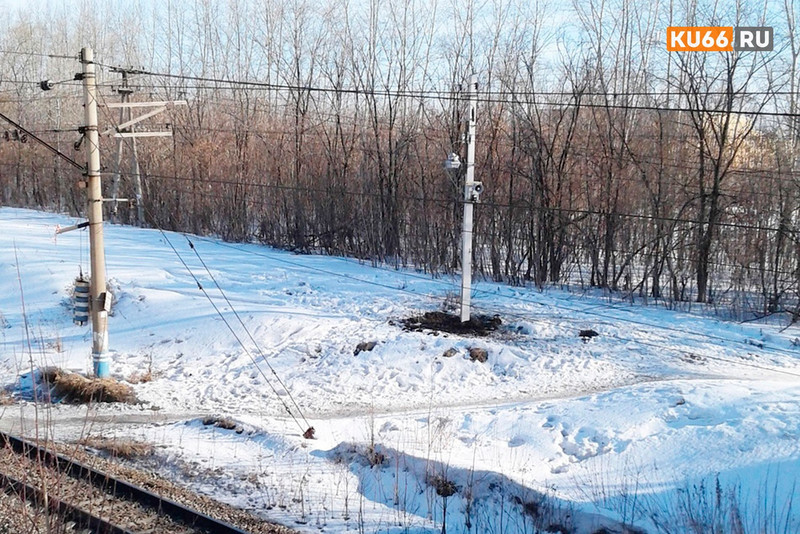 «Надоедает, не дает спать». Из-за сигнальной системы у железной дороги жители Каменска-Уральского обречены вечно страдать?