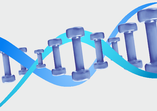 В мае одна из крупнейших сетей фитнес-клубов в Каменске запустила небывалый по масштабам конкурс с призовым фондом более 200 тысяч рублей