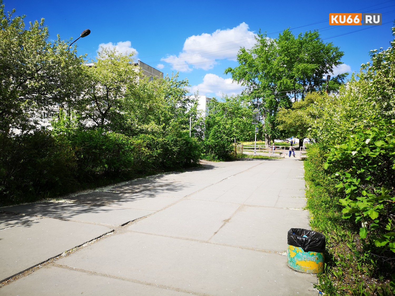 Напал и затащил в кусты. У гимназии по ул. Лермонтова в Каменске мужчина пытался что-то сделать с девочкой. СК: «Вряд ли хотел насиловать»