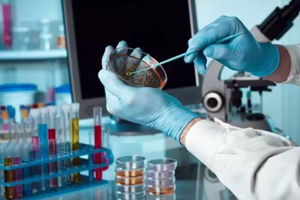 Вирусолог исключил всплеск числа заражений холерой в России