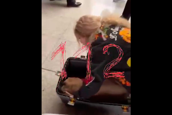 На борту «Аэрофлота» от переохлаждения умерла собака На борту «Аэрофлота» от переохлаждения умерла собака