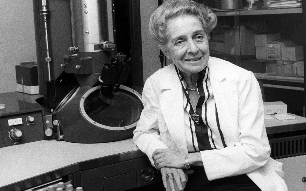 Как жить без мужа и сожалений: советы великой учёной Риты Леви, дожившей до 104 лет - полезно прочесть даже молодым