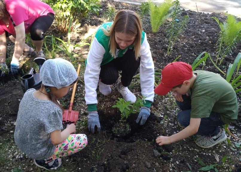 Со временем зазеленеет: детский сад Каменска-Уральского засадили 60 саженцами туи, жасмина, гортензии, пузыреплодника, спиреи...
