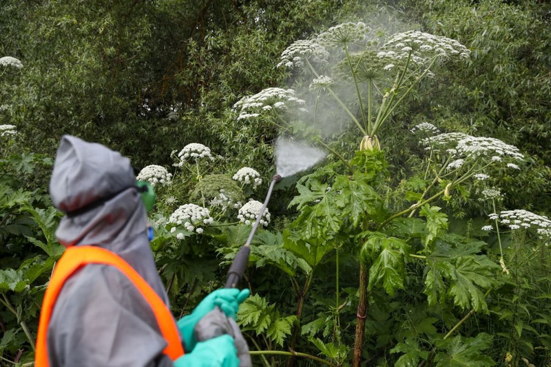 NYT сообщила о пытающемся захватить Россию "ядовитом пришельце" NYT сообщила о пытающемся захватить Россию "ядовитом пришельце"