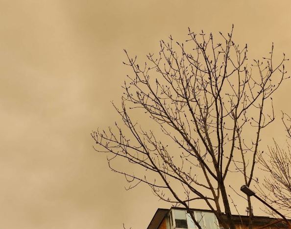 В Свердловской области ожидается «ржавый» дождь | На Урале ожидается «ржавый» дождь