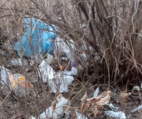 Жительница Каменска-Уральского пожаловалась на загаженный двор