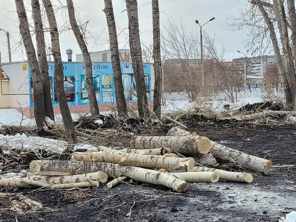 Жителей Каменска-Уральского приглашают на очередное голосование по благоустройству