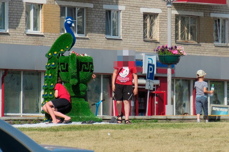 Фигуру павлина с хвостом из цветов почти растерзали. Жителям Каменска плевать на красоту? «Невоспитанные родители не воспитывают детей»