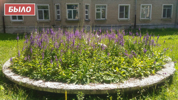 У бывшего фонтана «Тюлени» в Каменске-Уральском неравнодушные горожане провели субботник, благоустраивая территорию