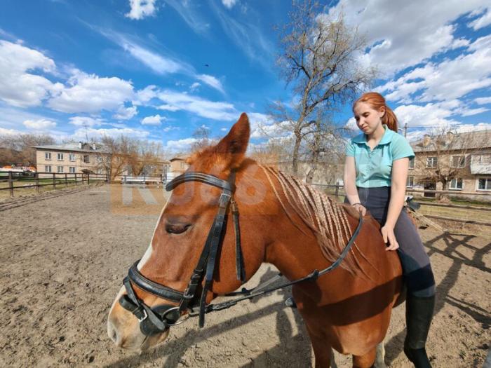 Красота под окнами: в Каменске-Уральском есть конный клуб прямо во дворах домов | В Каменске-Уральском есть конный клуб прямо во дворах домов