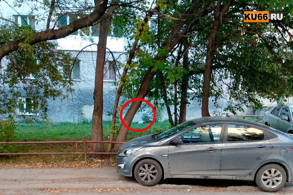 «Выпал с четвертого этажа, на предплечьях порезы…» Под окнами общежития в Каменске-Уральском прохожие обнаружили мертвого мужчину